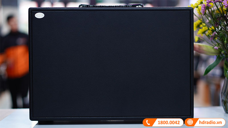 anh-loa-acnos-cs250pu-8