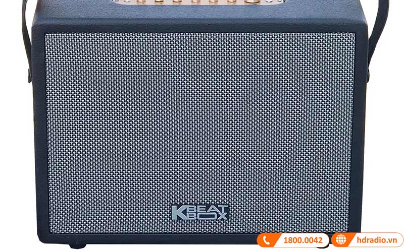 Loa Acnos CS270 mặt trước 