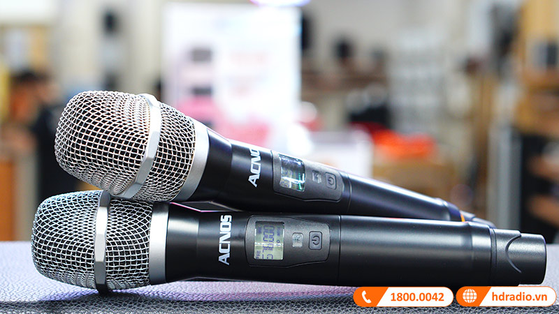 Loa Acnos CS270 đi kèm 2 micro không dây