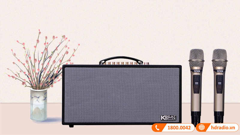 Loa Acnos CS450SR Ver2024