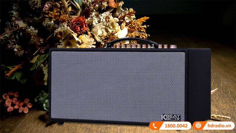 Loa Acnos CS450SR Ver2024