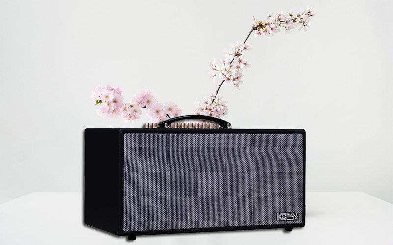 Loa Acnos CS450SR Ver2024