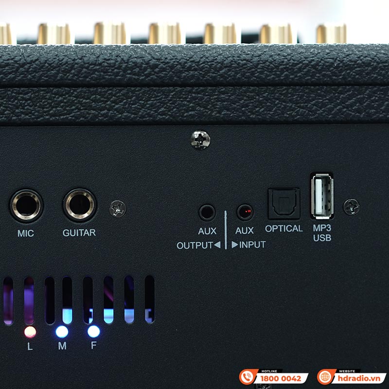 Loa Acnos CS451 Plus-15