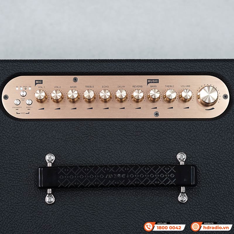 Loa Acnos CS451 Plus-9