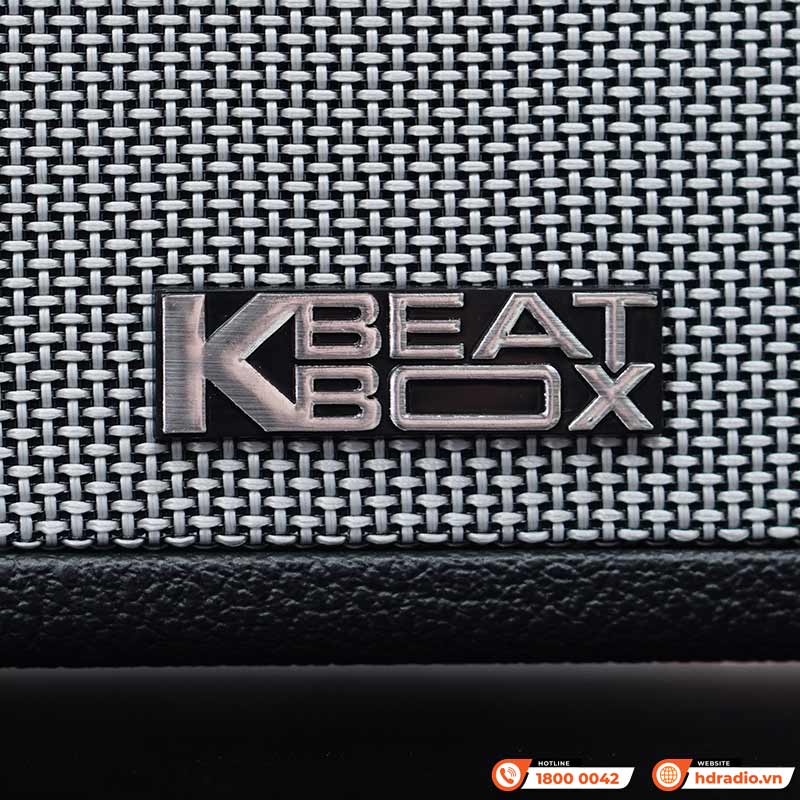 Loa Acnos CS451 Plus-4