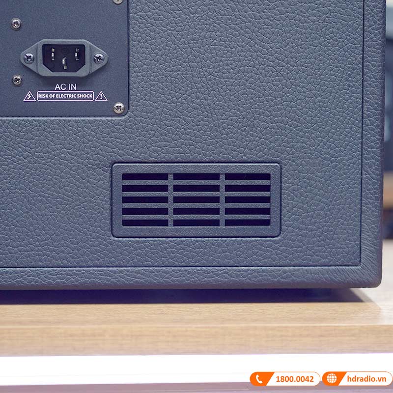 Loa ACNOS CS451 ảnh thực tế 