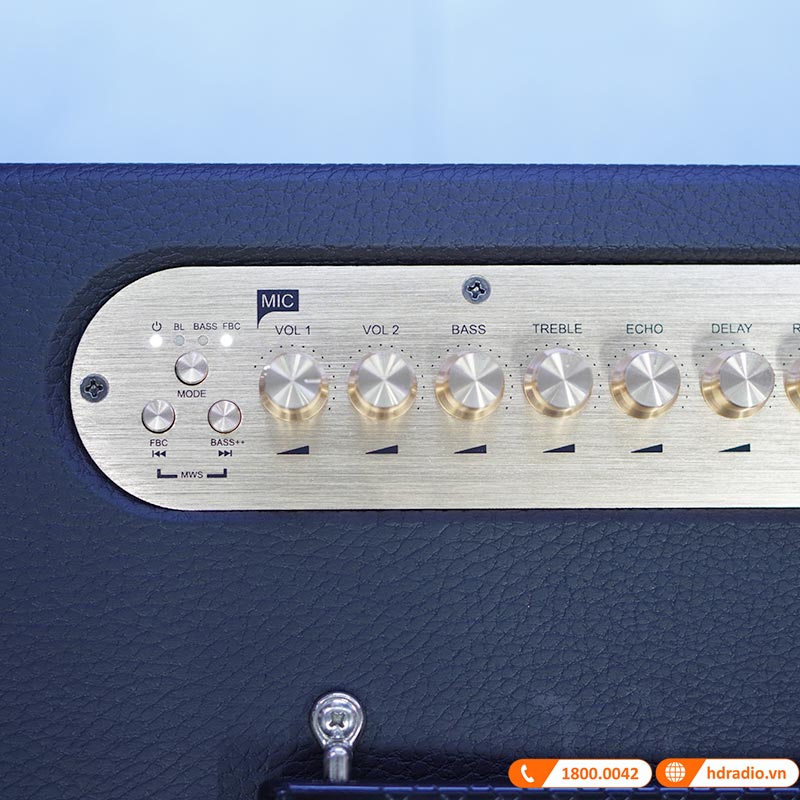 Loa ACNOS CS451 ảnh thực tế 