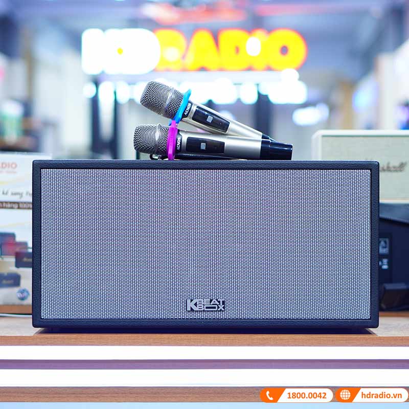 Loa ACNOS CS451 ảnh thực tế 