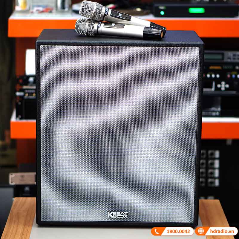 Loa Acnos CS551 Plus-5