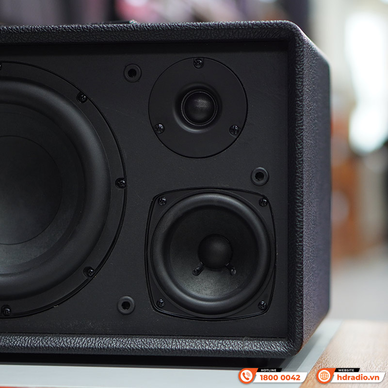 Loa Acnos FLAC 36, Bass 20cm, Công suất 200W, Bluetooth, Kèm 2 Tay Micro-11