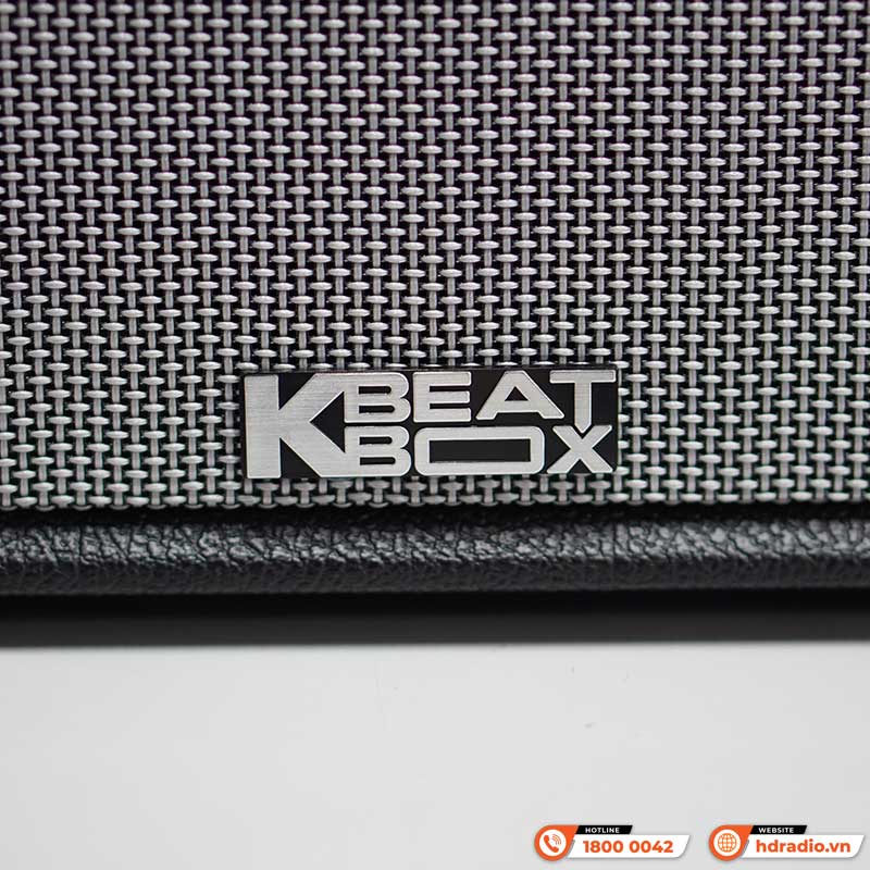 Loa Acnos FLAC 36, Bass 20cm, Công suất 200W, Bluetooth, Kèm 2 Tay Micro-3