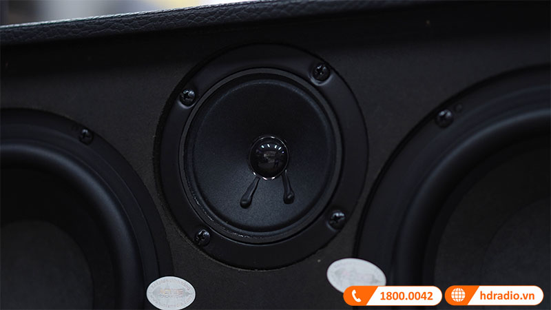 anh-loa-acnos-hn447-5