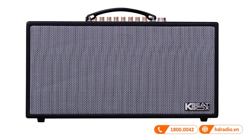 Mặt trước loa Acnos HN450