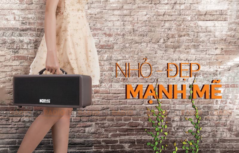 Loa Acnos Ks362S Plus Loa Acnos Ks362S Plus