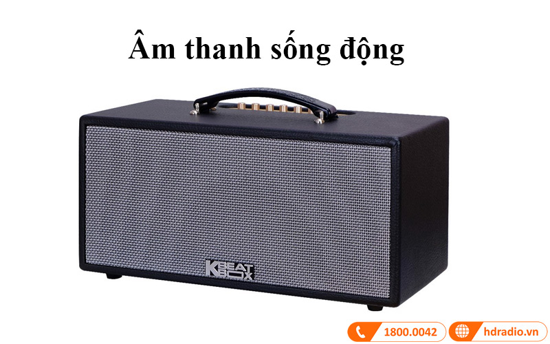 am thanh loa acnos ks363v