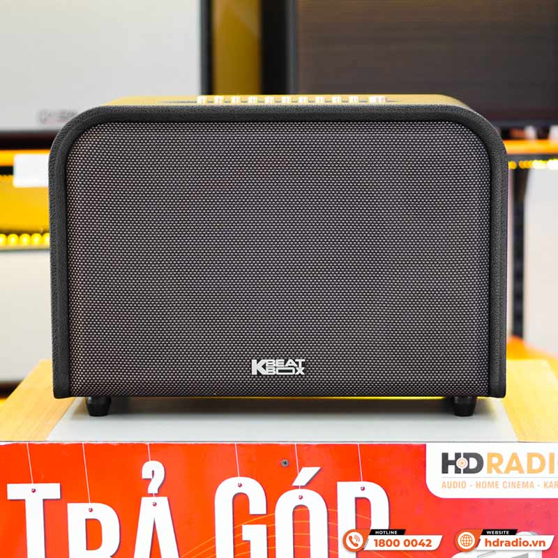 Loa Acnos Acoustic 3, Bass 25cm, Công suất 220W, Bluetootth, USB, Mic Wireless Stereo, 2 Micro-1