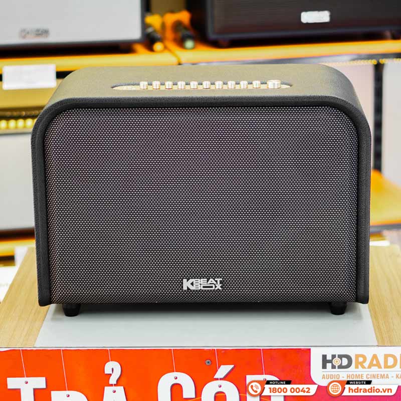 Loa Acnos Acoustic 3