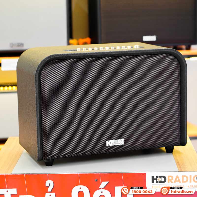 Loa Acnos Acoustic 3, Bass 25cm, Công suất 220W, Bluetootth, USB, Mic Wireless Stereo, 2 Micro-2