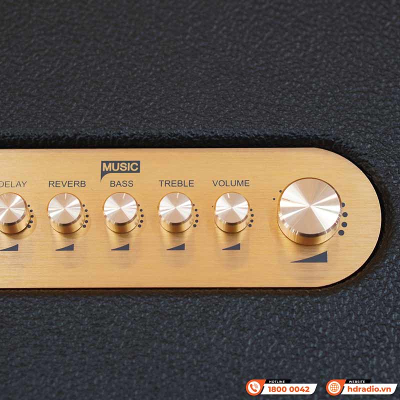 Loa Acnos Acoustic 3, Bass 25cm, Công suất 220W, Bluetootth, USB, Mic Wireless Stereo, 2 Micro-9