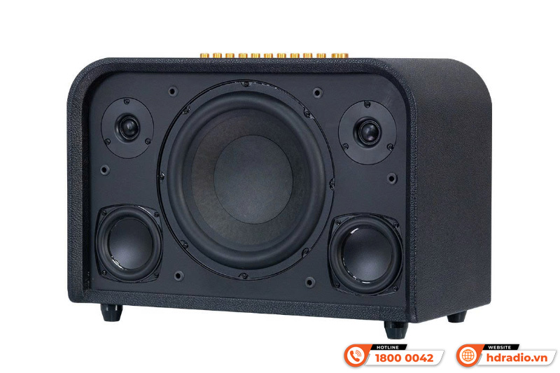 Loa Acnos Acoustic 3