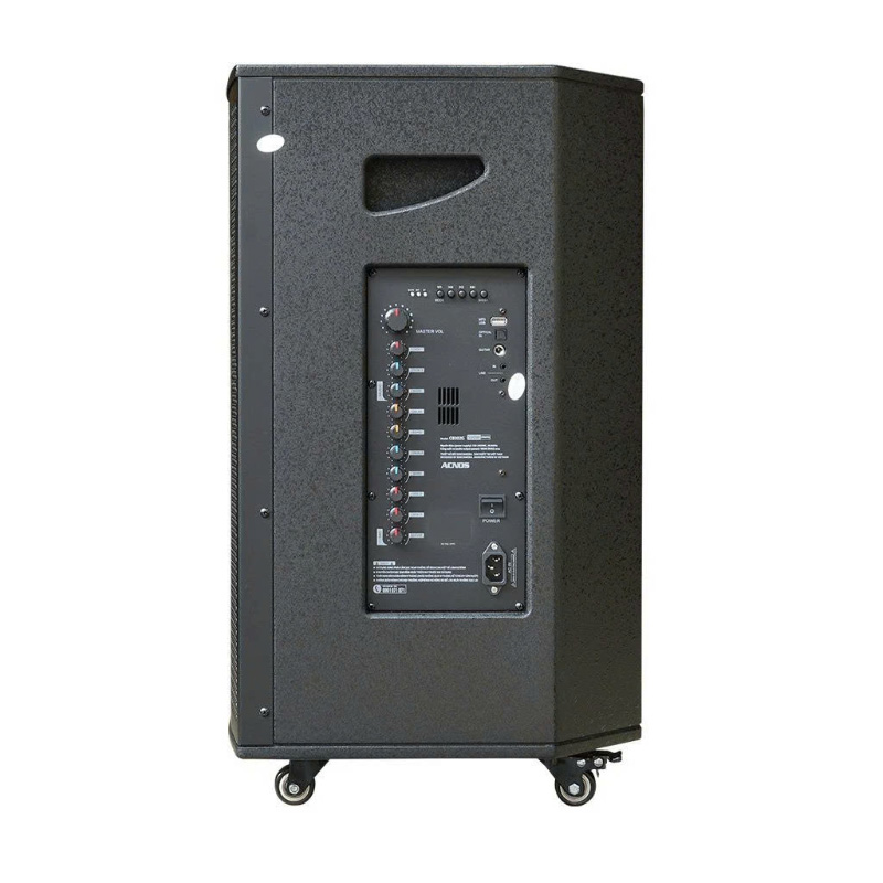 Loa Acnos CB302G, Bass 30cm, Công suất 100W, 2 Micro-4