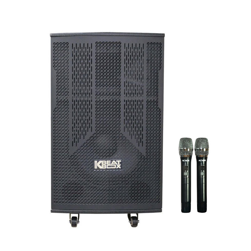 Loa Acnos CB302G, Bass 30cm, Công suất 100W, 2 Micro-1