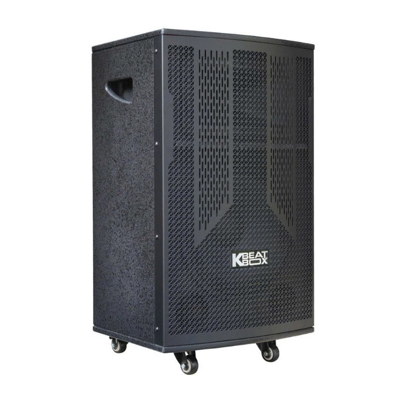 Loa Acnos CB302G, Bass 30cm, Công suất 100W, 2 Micro-2