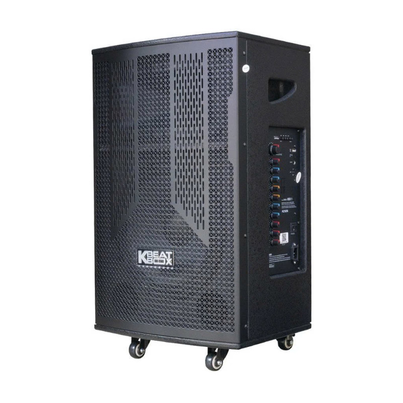 Loa Acnos CB302G, Bass 30cm, Công suất 100W, 2 Micro-3