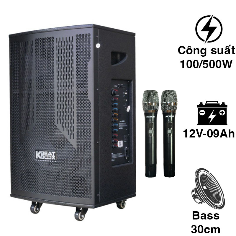Loa Acnos CB302G, Bass 30cm, Công suất 100W, 2 Micro