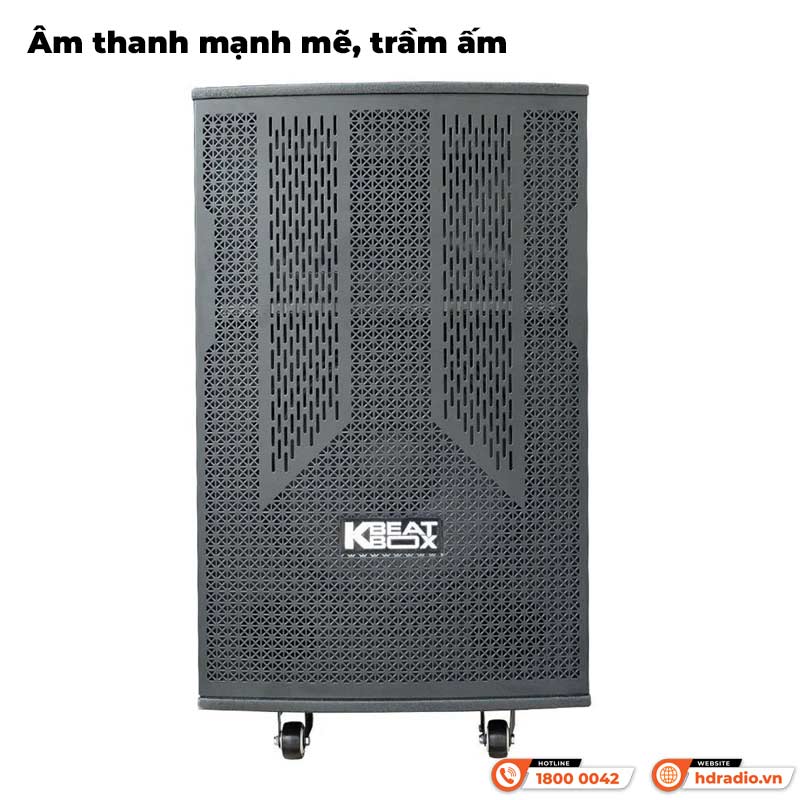 Âm thanh Loa Acnos CB303G