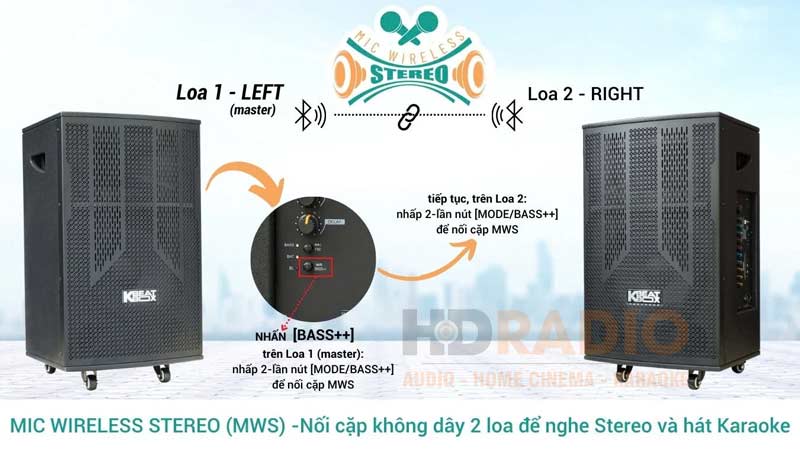 Ghép đôi 2 Loa Acnos CB303G