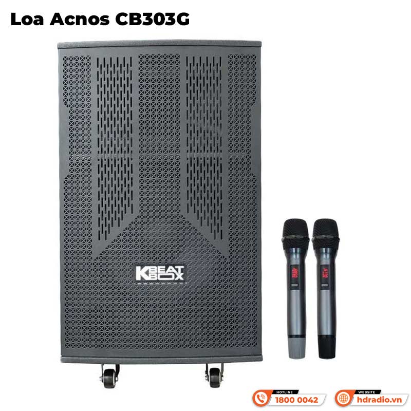 Loa Acnos CB303G