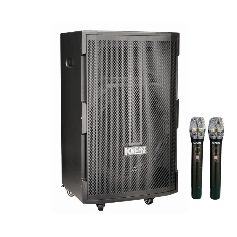 Loa Kéo Acnos CB39D