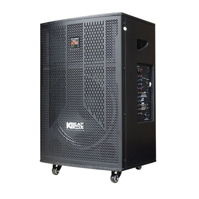 Loa Acnos CB406Neo, Bass 40cm, Công suất 130W, 2 Micro-2