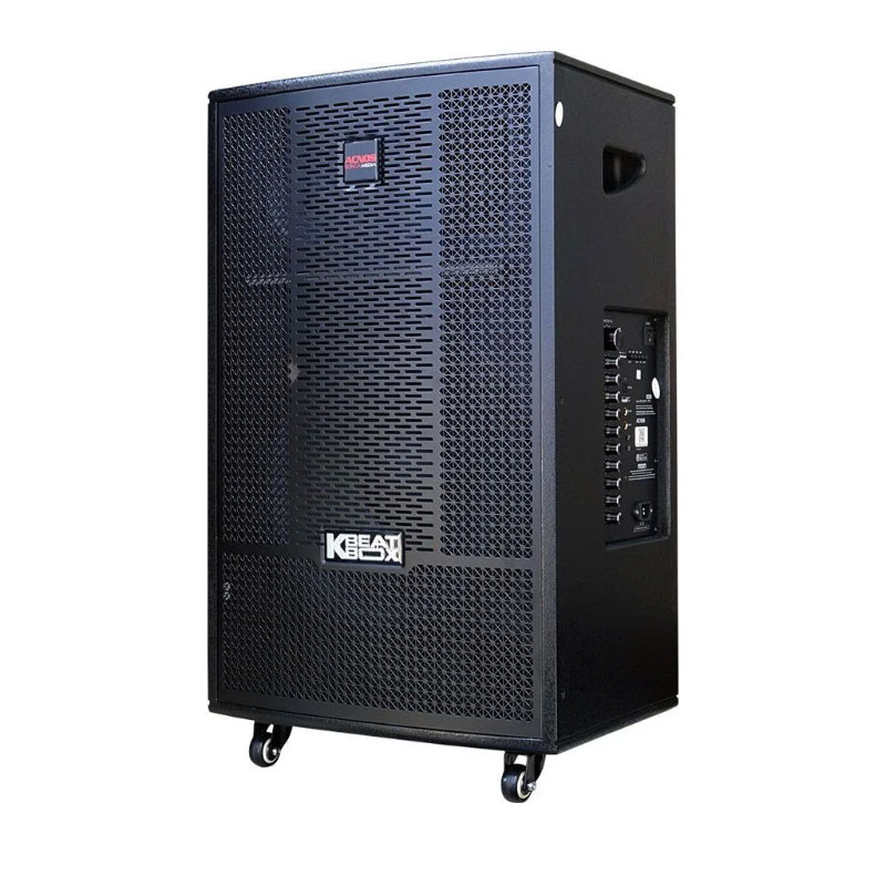 Loa Acnos CB41Neo, Bass 40cm, Công suất 200W, 2 Micro-3