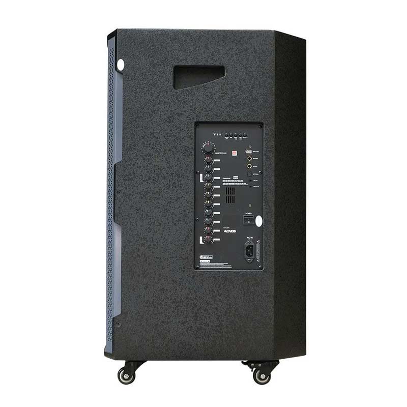 Loa Acnos CB421Plus-4