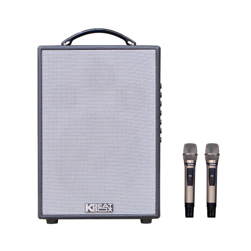 Loa Acnos CS141, Bass 20cm, Công suất 70W, Bluetootth 5.0, 2 Micro-1