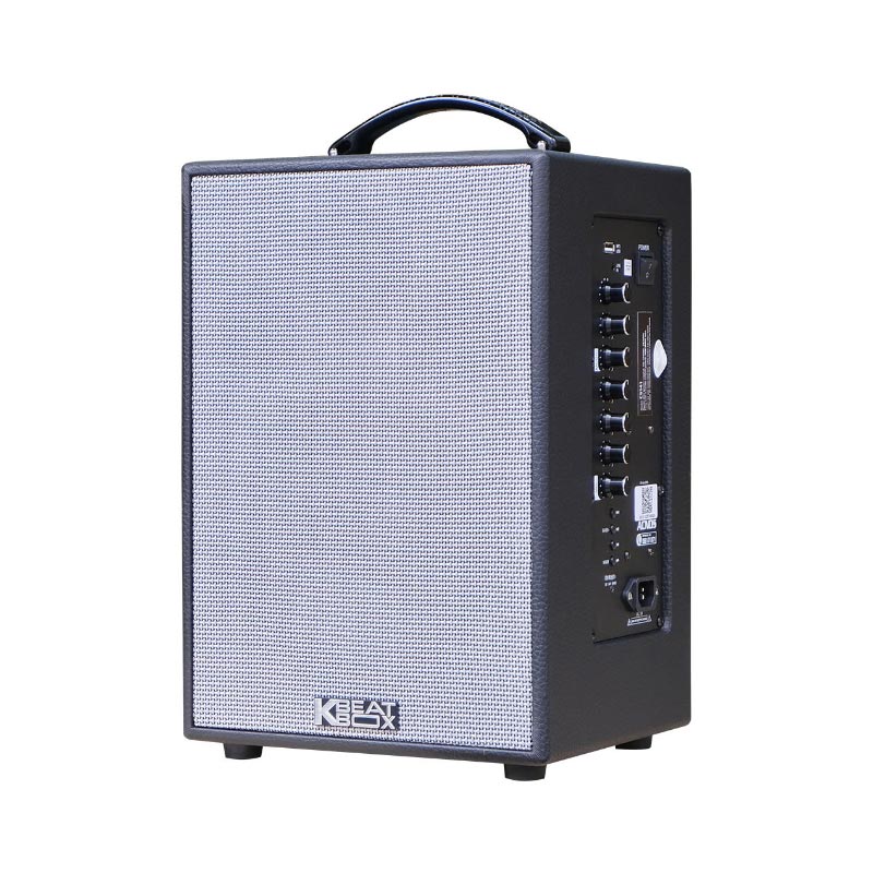 Loa Acnos CS141, Bass 20cm, Công suất 70W, Bluetootth 5.0, 2 Micro-2