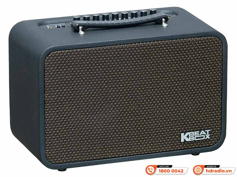 Loa Acnos CS200PU V3