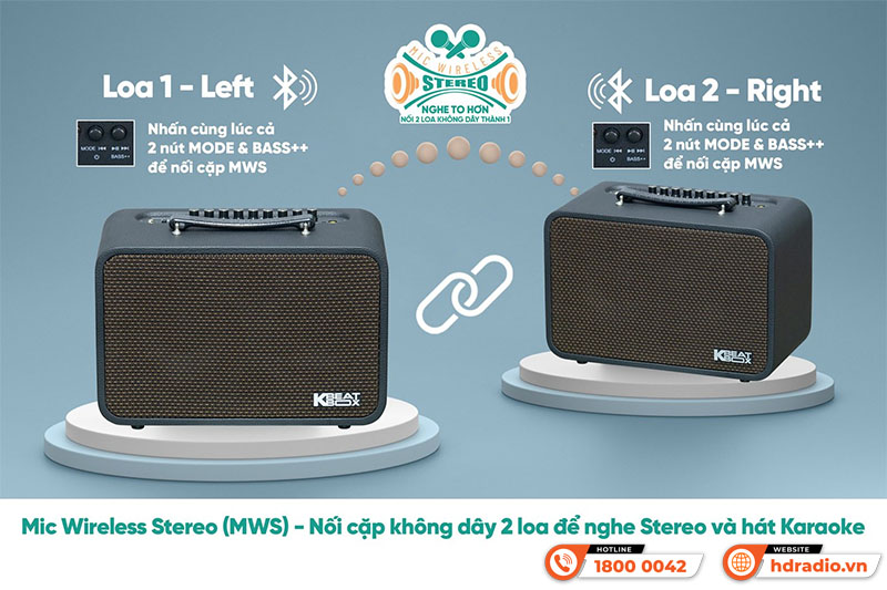 Loa Acnos CS200PU V3