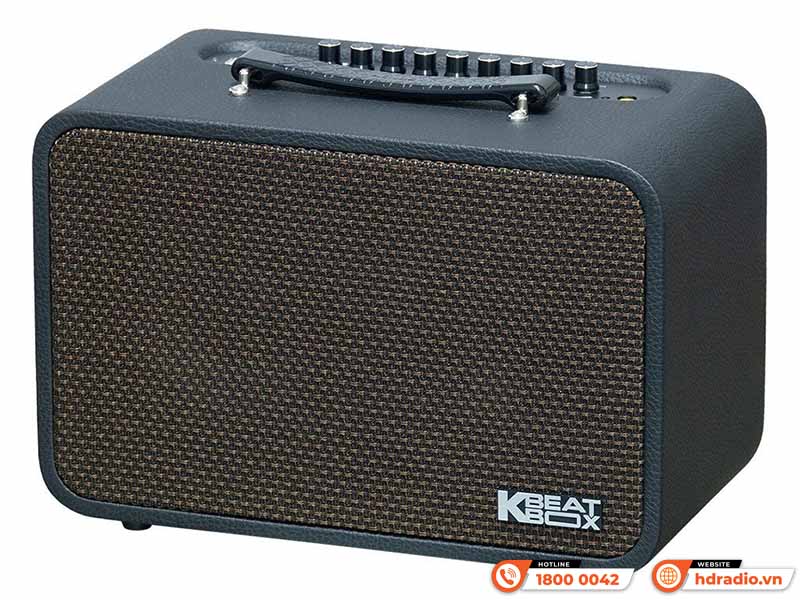 Loa Acnos CS200PU V3