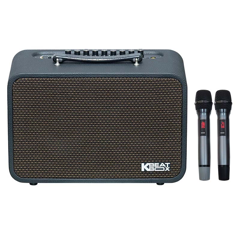 Loa Acnos CS200PU V3, Bass 16.5cm, Công suất 80W RMS, Bluetooth 5.0, Mic Wireless Stereo, Kèm 2 MIC