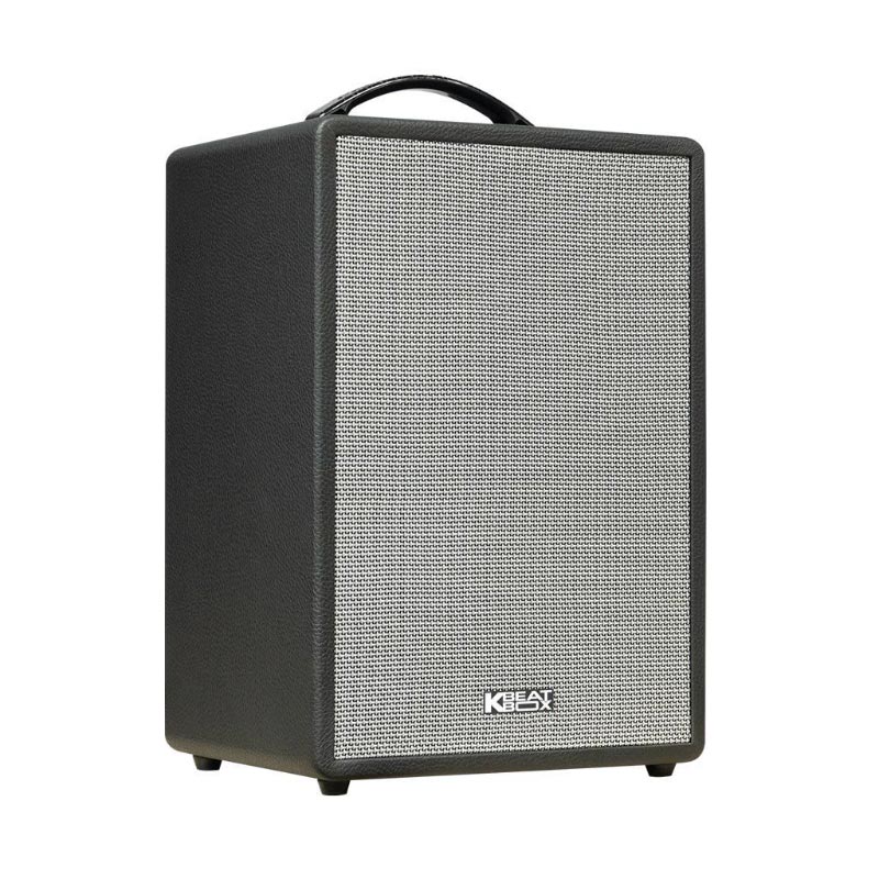 Loa Acnos CS201V, Bass 20cm, Công suất 70W, Bluetooth 5.0, Kèm 2 mic-2