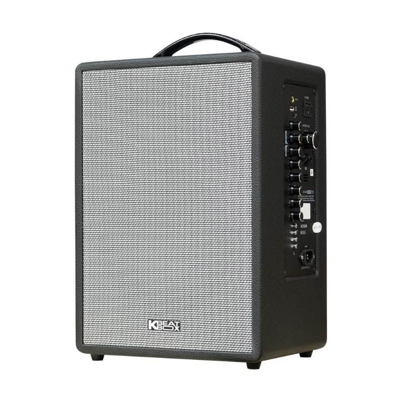 Loa Acnos CS201V, Bass 20cm, Công suất 70W, Bluetooth 5.0, Kèm 2 mic-3