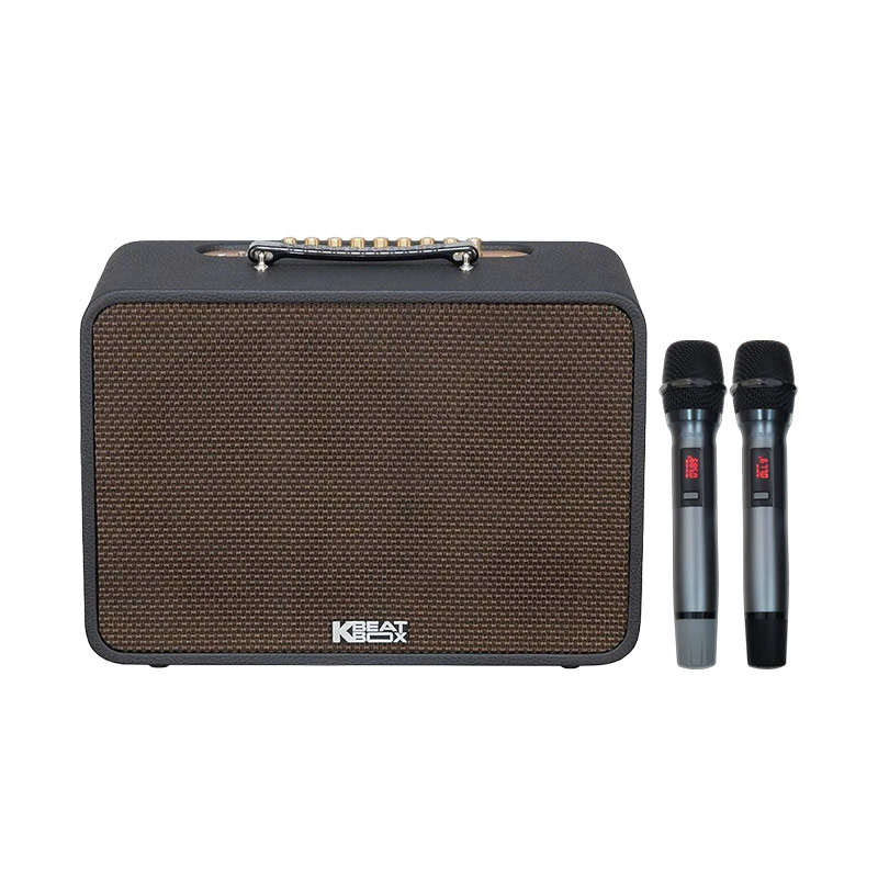 Loa Acnos CS250 Pro, Công suất 80W, Bluetooth 5.0, Kèm 2 mic