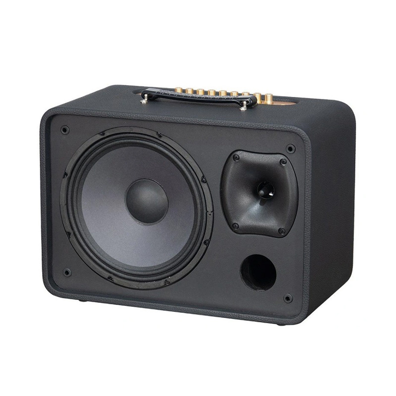 Loa Acnos CS250 Pro, Công suất 80W, Bluetooth 5.0, Kèm 2 mic-4