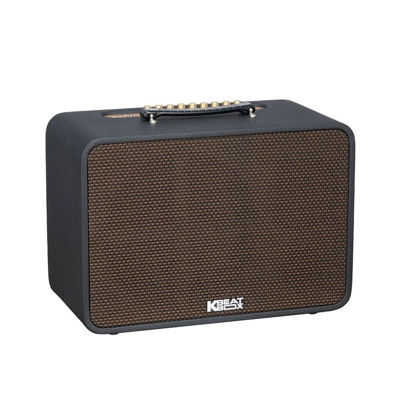 Loa Acnos CS250 Pro, Công suất 80W, Bluetooth 5.0, Kèm 2 mic-3