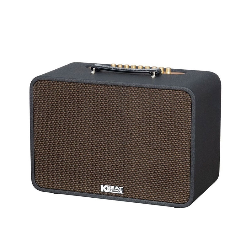 Loa Acnos CS250 Pro, Công suất 80W, Bluetooth 5.0, Kèm 2 mic-2