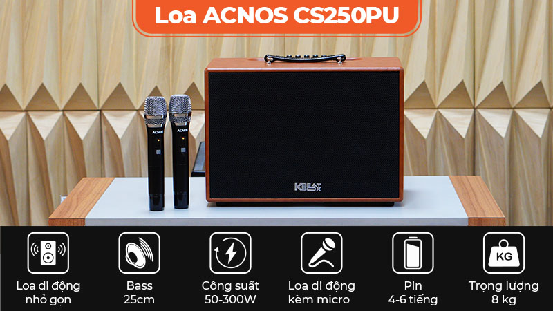 Loa Acnos CS250PU