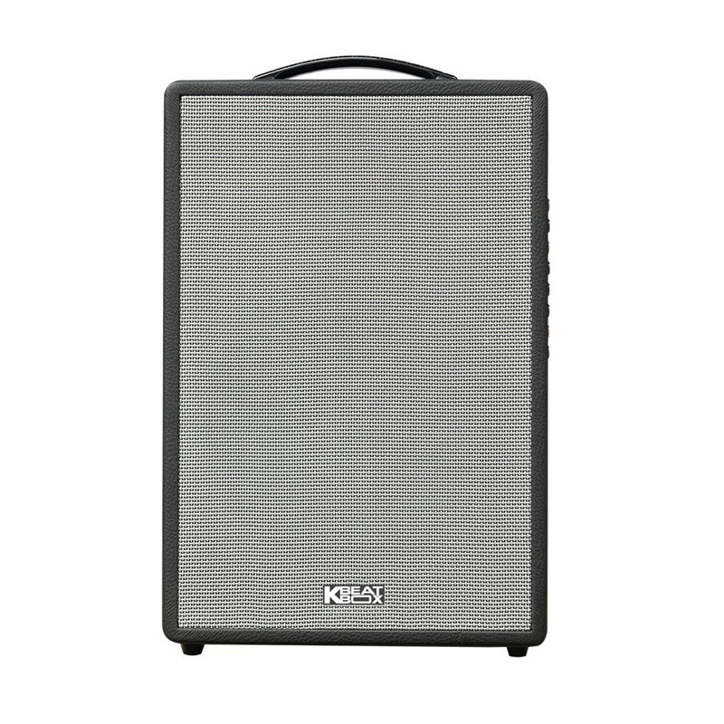 Loa Acnos CS251V, Bass 25cm, Công Suất 400W, Bluetooth, 2 Tay Micro-2